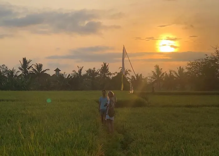 Putra 2* Ubud